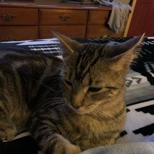 Meet your Posher, Natalie